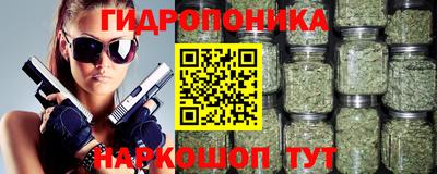 стаф Аша