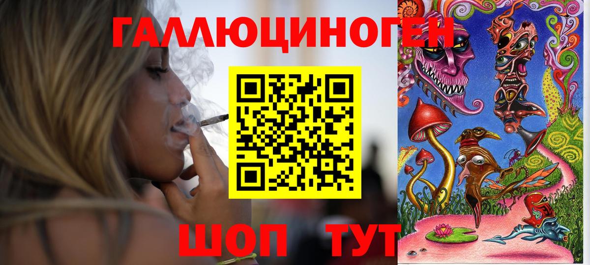 Псилоцибиновые грибы Cubensis Артём